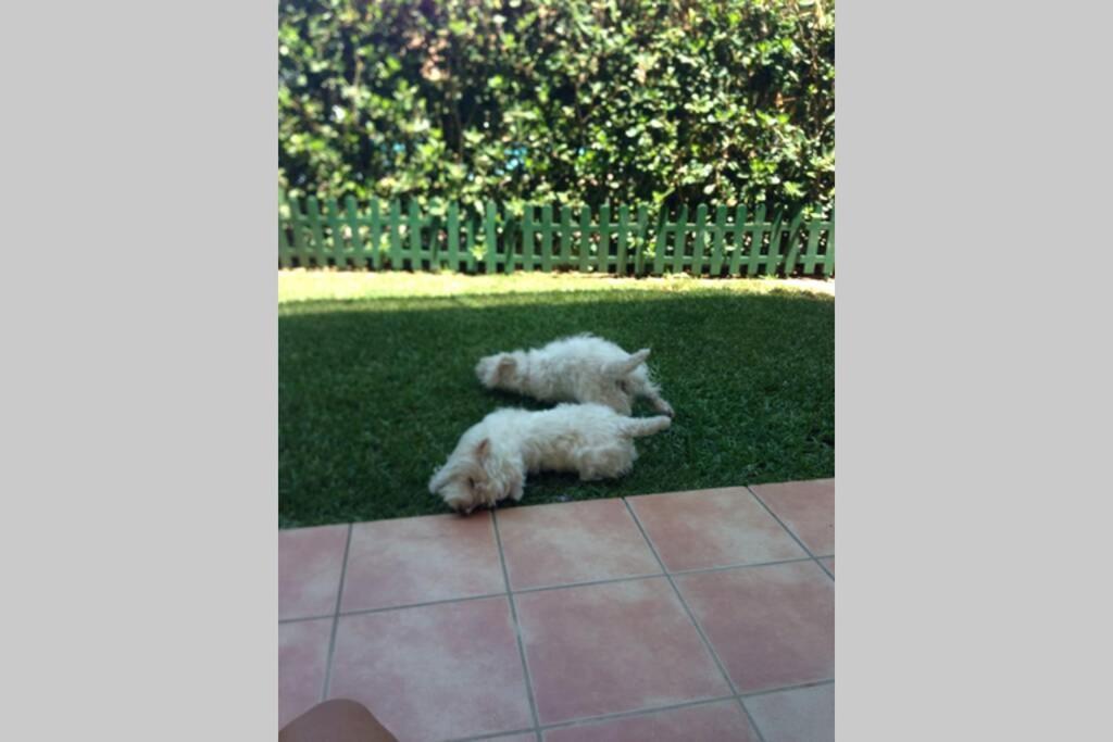 Jardines De Denia I Apartment ภายนอก รูปภาพ